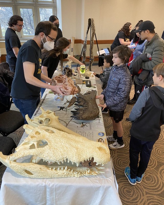 A long table of skulls and casts with visitors reaching in to touch them.