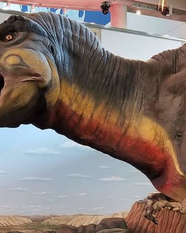 A large animatronic Tyrannosaurus rex with its mouth open.
