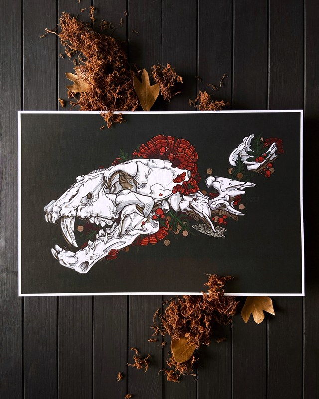 Print of a bear skull and scattered bones with red shelf fungi and ferns on a dark ground, by Stacia Baldwin.