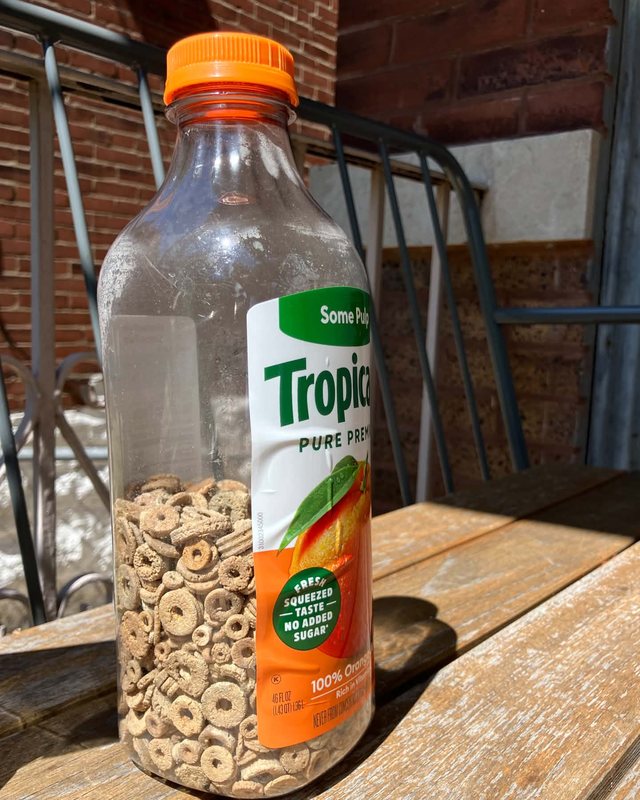 A juice bottle on a picnic table, filled part way with small disc shaped crinoid columnals.
