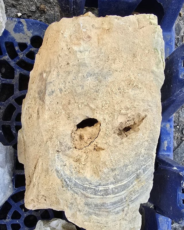 A pale limestone block with two holes for eyes and a curved band of grey shell layers for a smile.