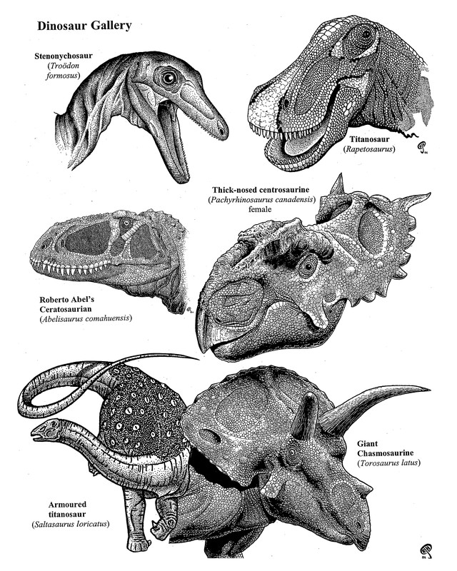 Pen and ink stipple drawings of six labeled dinosaur heads, including a titanosaur, Pachyrhinosaurus, and Torosaurus, by Russell J. Hawley.