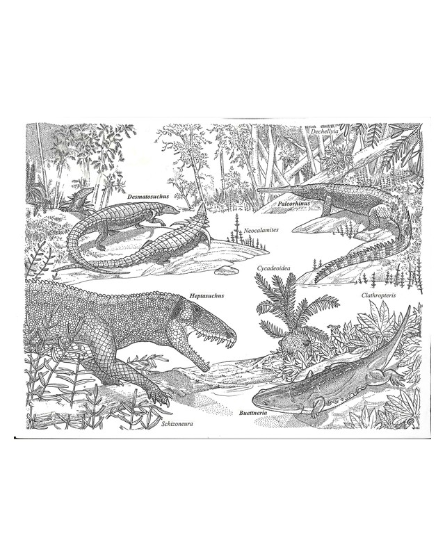 Pen and ink scene of a Late Triassic riverbank with labeled animals and plants, including the armored Desmatosuchus, the long-snouted Paleorhinus, and Heptasuchus with its jaws open, by Russell J. Hawley.