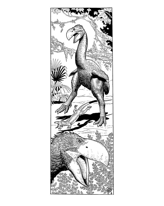 Pen and ink bookmark of the giant flightless bird Gastornis standing in a forest, with a close view of its head below, by Russell J. Hawley.