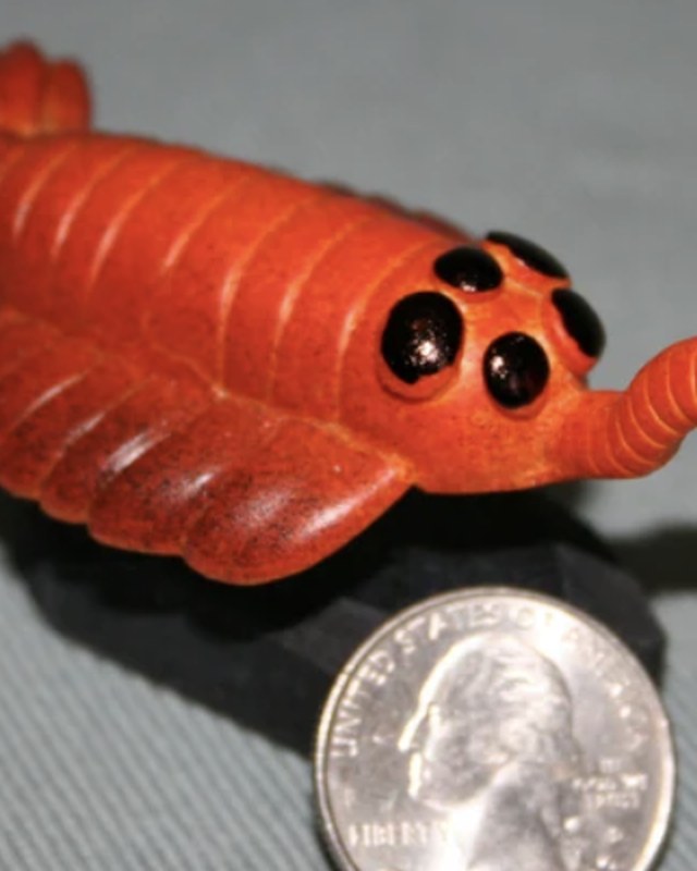 A small orange sculpture of an early arthropod beside a quarter for scale, by Patrick May.
