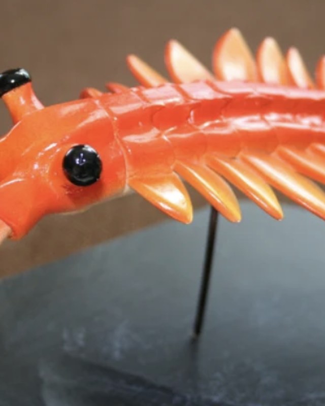 An orange Anomalocaris sculpture mounted on a dark base, by Patrick May.