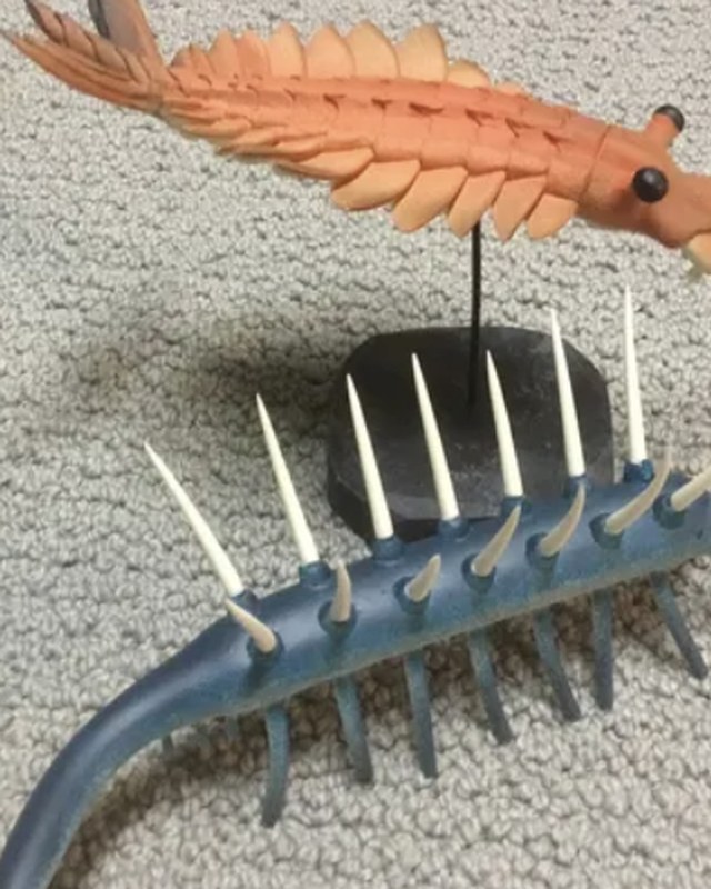 An orange anomalocarid mounted above a blue spined Hallucigenia, by Patrick May.