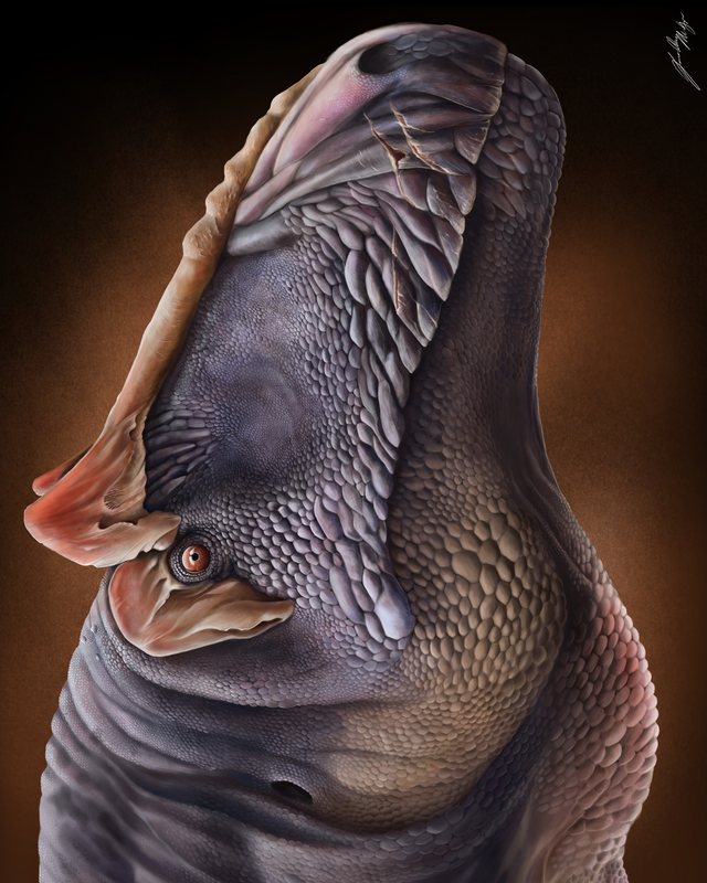 Close view of a crested dinosaur head in violet and pink, tilted upward with its jaws closed, by Jonathan Metzger.