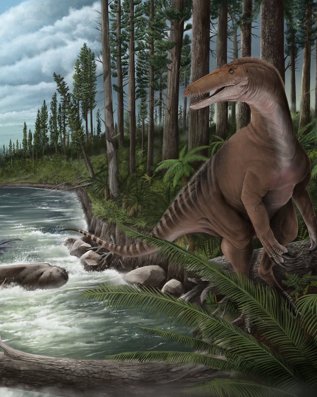 A brown predatory dinosaur standing among ferns on a conifer lined riverbank, by Jonathan Metzger.