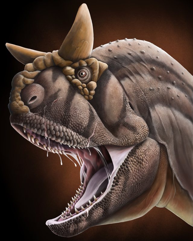 Close view of a horned predatory dinosaur with a thick nasal horn and open jaws, by Jonathan Metzger.