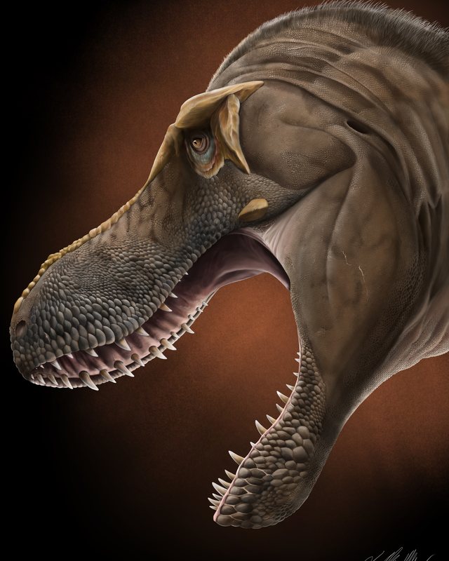 A tyrannosaur in profile with its jaws open wide, against a dark background, by Jonathan Metzger.