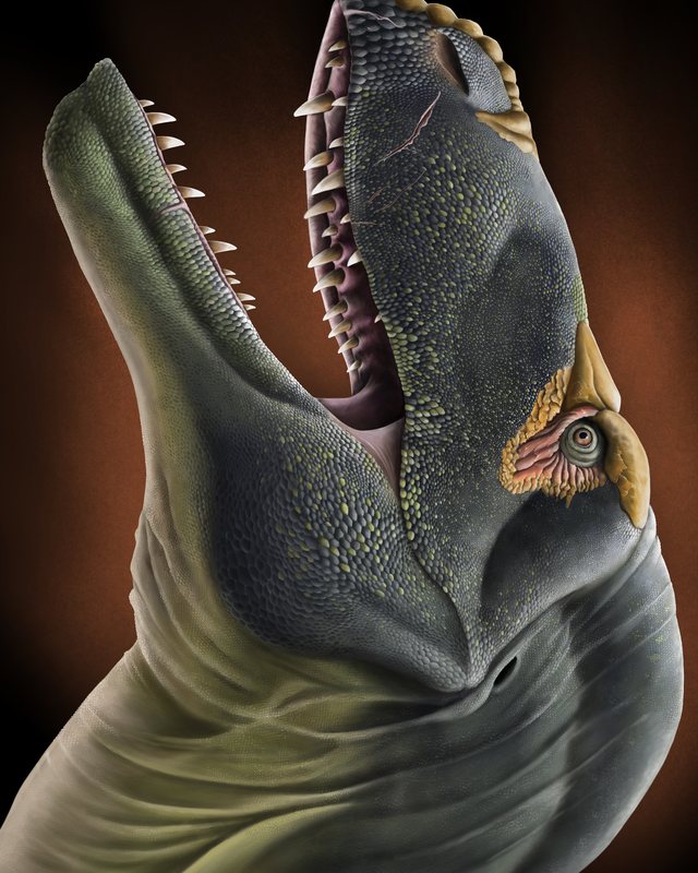 Close view of a dark green predatory dinosaur, head tilted up and jaws open, by Jonathan Metzger.