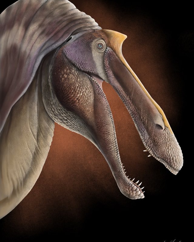 Close view of a crested dinosaur head with long slender jaws and small teeth, by Jonathan Metzger.