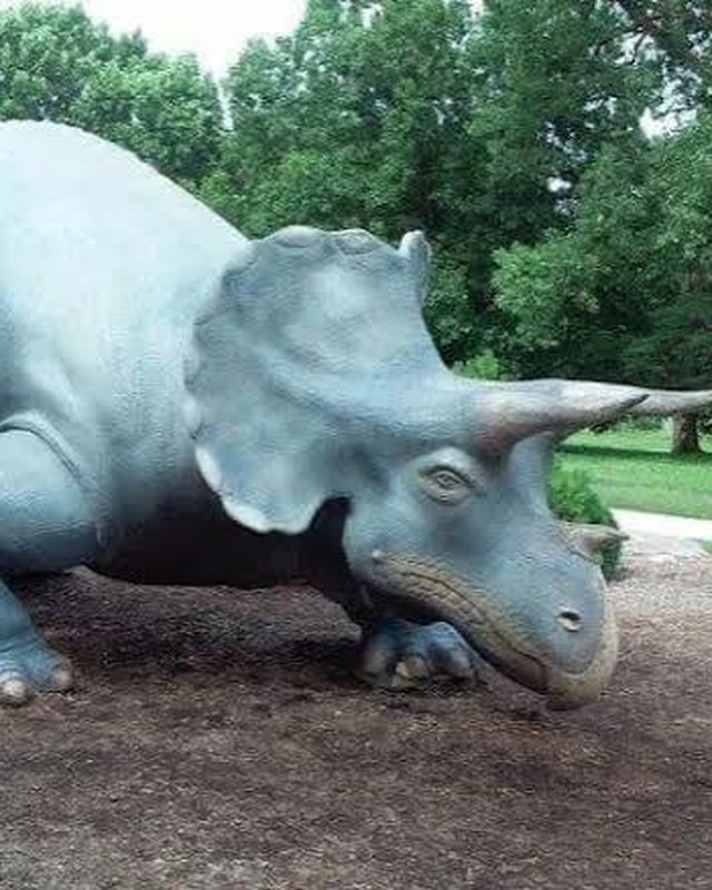 The outdoor Triceratops sculpture on the Planetarium grounds.