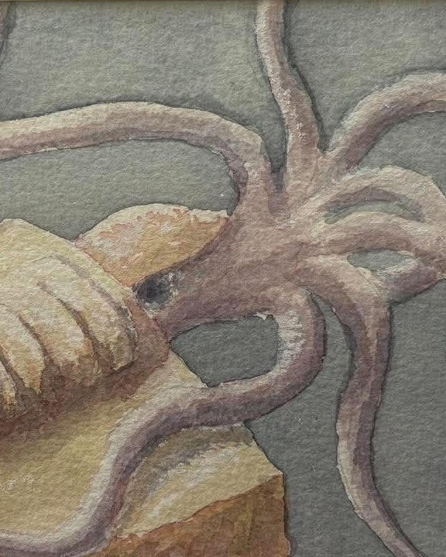 Watercolour of an Ordovician Endoceras, a straight-shelled cephalopod with long pale tentacles, by Steven Newton.