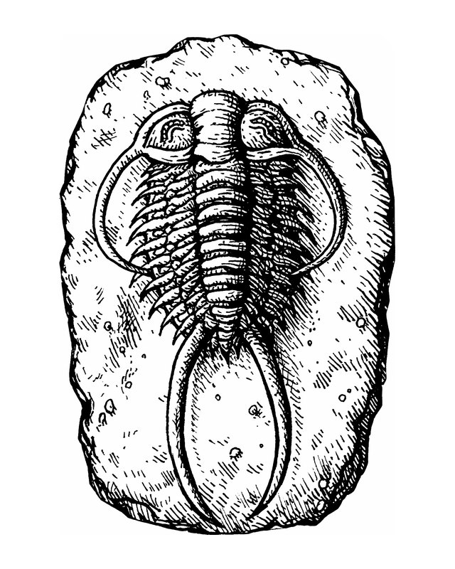 Placeholder drawing by Patrick Weck. Photo coming.