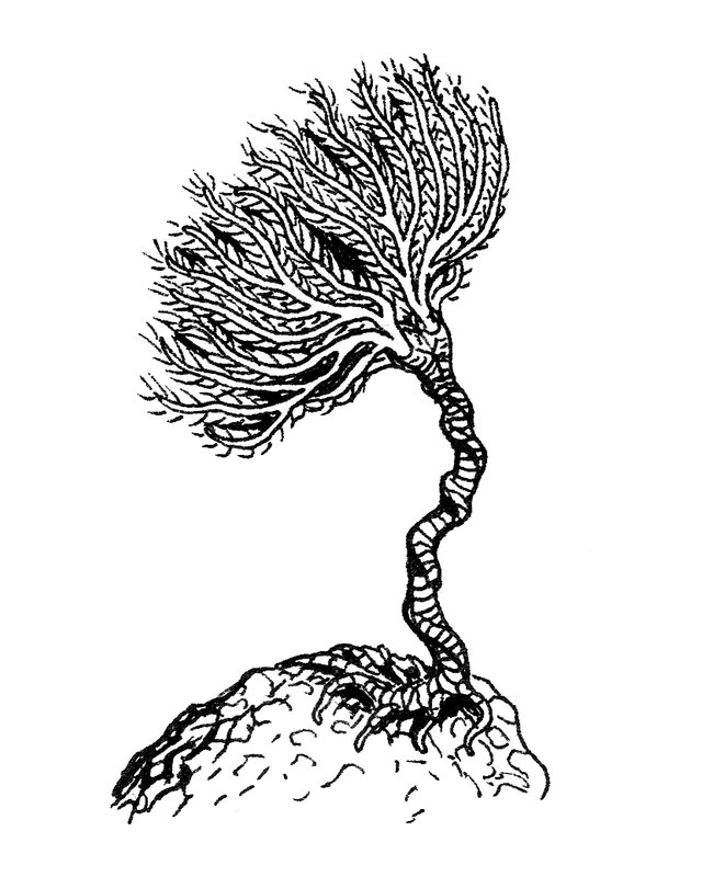 Placeholder drawing by Patrick Weck. Photo coming.