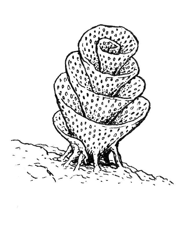 Placeholder drawing by Patrick Weck. Photo coming.