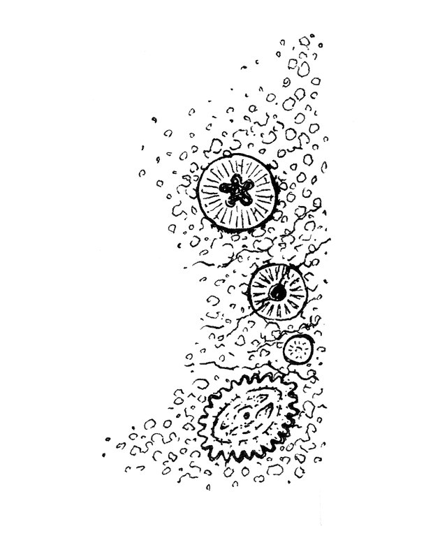 Placeholder drawing by Patrick Weck. Photo coming.