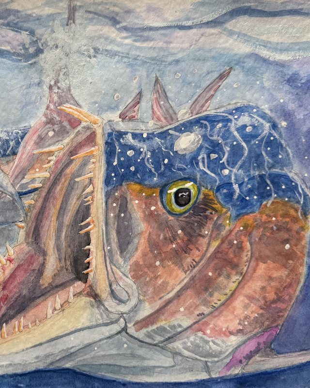 Watercolour of a huge predatory fish with open jaws chasing smaller fish through blue water, by Christian Summers.