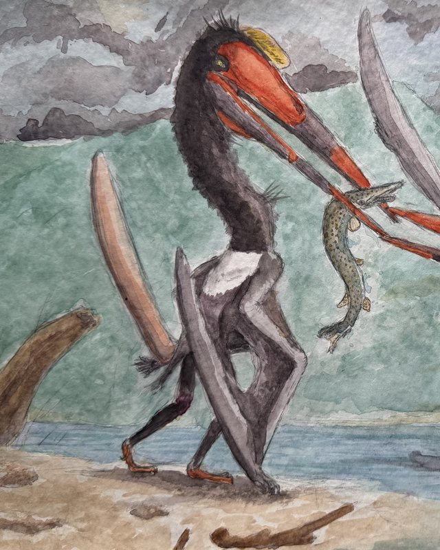 Watercolour of two crested pterosaurs on a shoreline tugging at a fish, by Christian Summers.