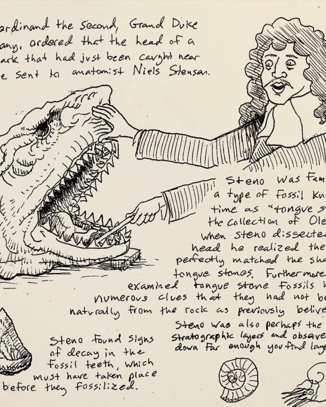 Pen drawing of Niels Steno dissecting a shark's head in 1666, with handwritten notes on tongue stones, by Patrick Weck.