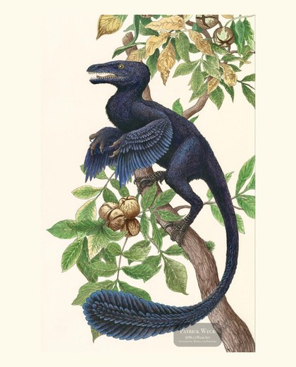 Painting of a juvenile Deinonychus with deep blue plumage perched in a hickory tree, by Patrick Weck.