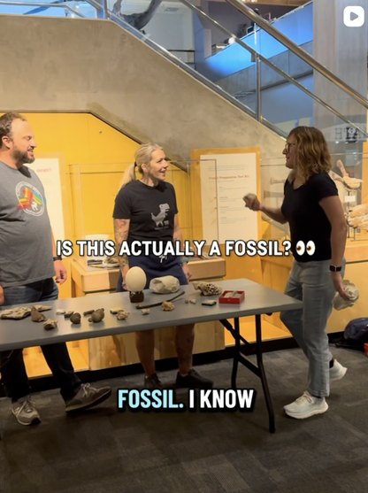 The Saint Louis Science Center's Instagram post about the St. Louis Prehistoric Life Show.